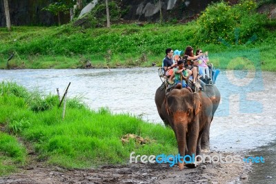 Elephants And Mahouts, While Escorting Tourists To Ride Elephants Along The River In  Mae Wang, Chiang Mai Stock Photo