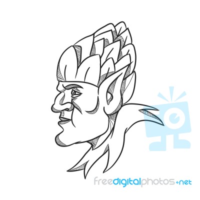 Elf Wearing Hops On Head Drawing Black And White Stock Image