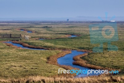 Elmley Marshes Stock Photo