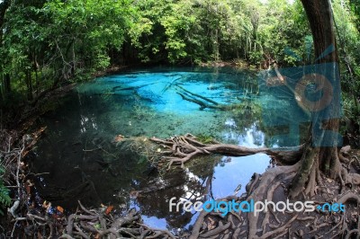 Emerald Pool (sra Morakot) Stock Photo