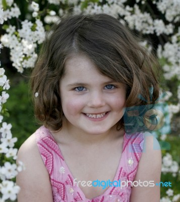 Emily In Apple Blossom Stock Photo