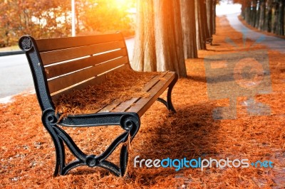 Empty Bench In The Autumnal Park Stock Photo