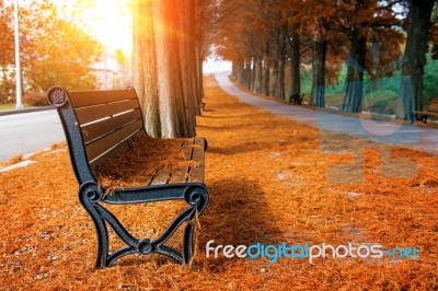 Empty Bench In The Autumnal Park Stock Photo