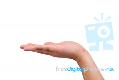 Empty Human Hand Held Up Stock Photo