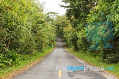 Empty Road Stock Photo