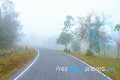 Empty Road Stock Photo