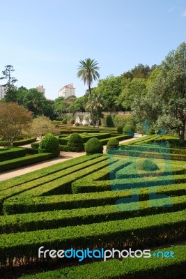 Enchanted Ajuda Garden In Lisbon, Portugal Stock Photo