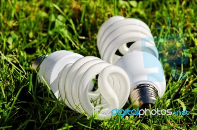 Energy Saving Bulb Stock Photo