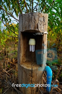 Energy Saving Bulbs Are In The Tree Stock Photo