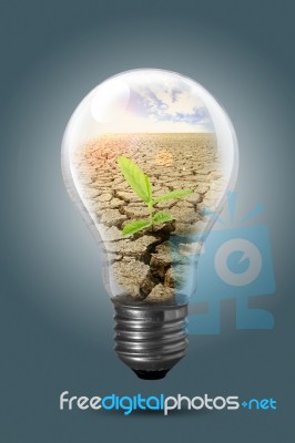 Energy Saving Light Bulb Stock Image