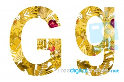 English Alphabet Made From Dry Leaves And Dry Grass On White Background For Isolated With Clipping Path Stock Photo