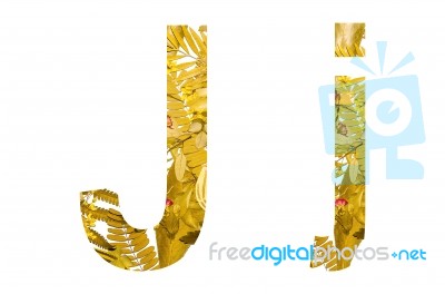 English Alphabet Made From Dry Leaves And Dry Grass On White Background For Isolated With Clipping Path Stock Photo