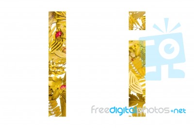 English Alphabet Made From Dry Leaves And Dry Grass On White Background For Isolated With Clipping Path Stock Photo