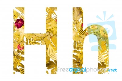 English Alphabet Made From Dry Leaves And Dry Grass On White Background For Isolated With Clipping Path Stock Photo