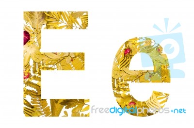 English Alphabet Made From Dry Leaves And Dry Grass On White Background For Isolated With Clipping Path Stock Photo