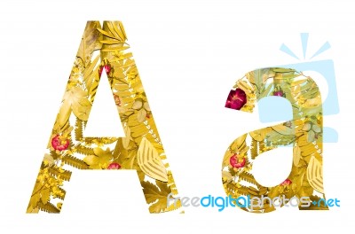 English Alphabet Made From Dry Leaves And Dry Grass On White Background For Isolated With Clipping Path Stock Photo