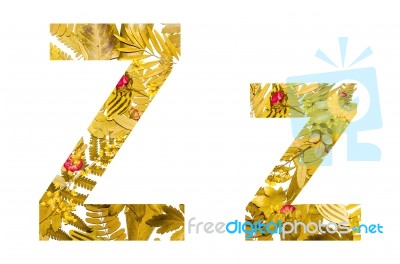 English Alphabet Made From Dry Leaves And Dry Grass On White Background For Isolated With Clipping Path Stock Photo