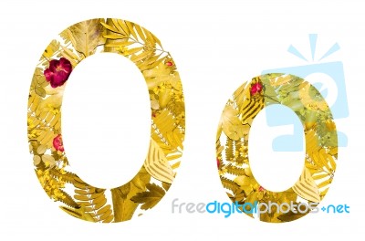 English Alphabet Made From Dry Leaves And Dry Grass On White Background For Isolated With Clipping Path Stock Photo