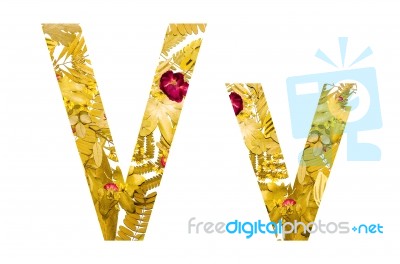 English Alphabet Made From Dry Leaves And Dry Grass On White Background For Isolated With Clipping Path Stock Photo