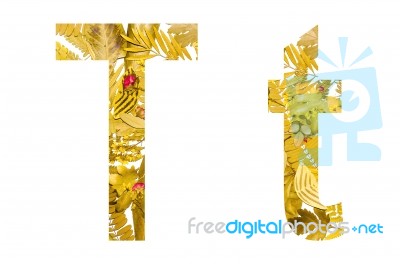 English Alphabet Made From Dry Leaves And Dry Grass On White Background For Isolated With Clipping Path Stock Photo