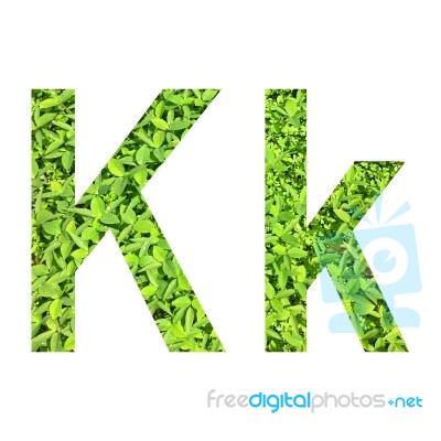 English Alphabet Made From Green Grass On White Background Stock Photo