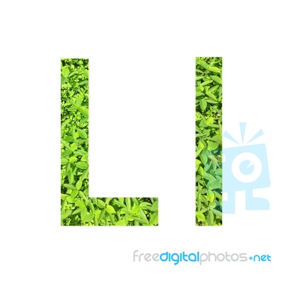 English Alphabet Made From Green Grass On White Background Stock Photo