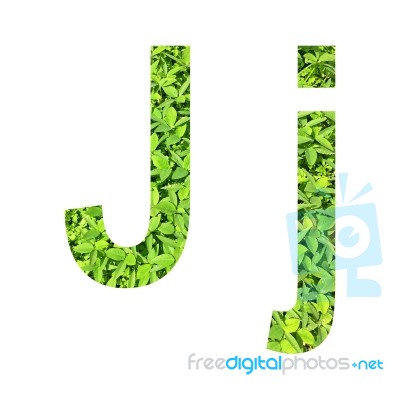 English Alphabet Made From Green Grass On White Background Stock Photo