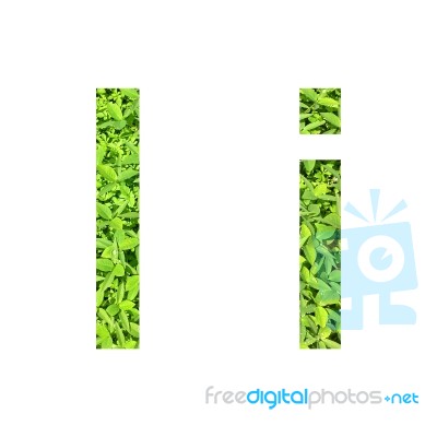 English Alphabet Made From Green Grass On White Background Stock Photo