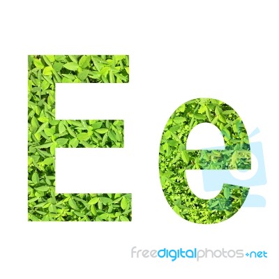 English Alphabet Made From Green Grass On White Background Stock Photo