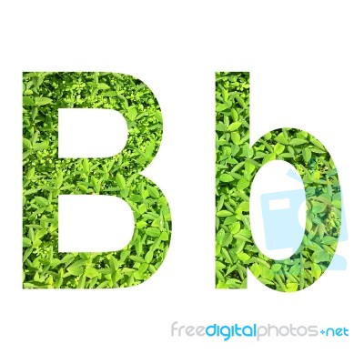 English Alphabet Made From Green Grass On White Background Stock Photo