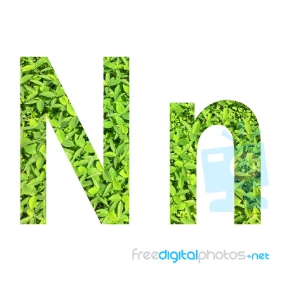 English Alphabet Made From Green Grass On White Background Stock Photo