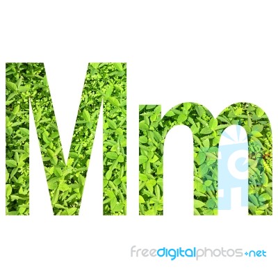 English Alphabet Made From Green Grass On White Background Stock Photo