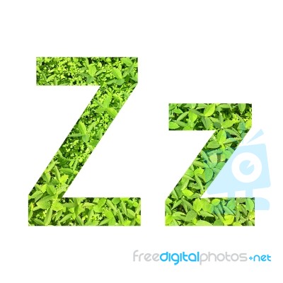 English Alphabet Made From Green Grass On White Background Stock Photo