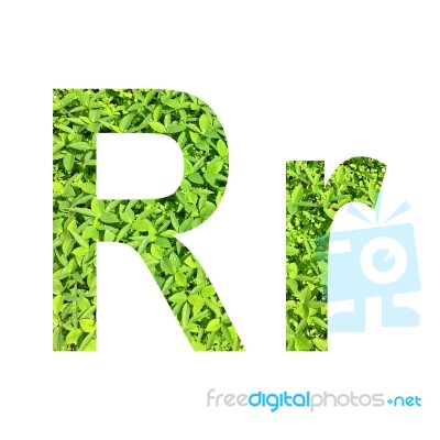 English Alphabet Made From Green Grass On White Background Stock Photo