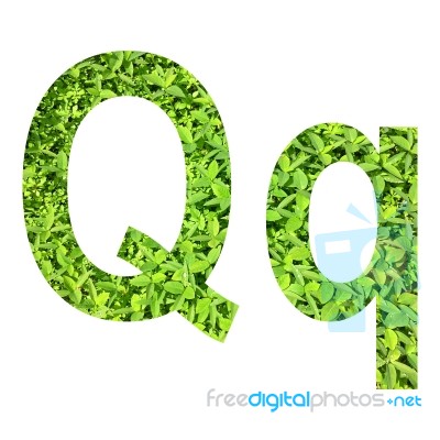 English Alphabet Made From Green Grass On White Background Stock Photo