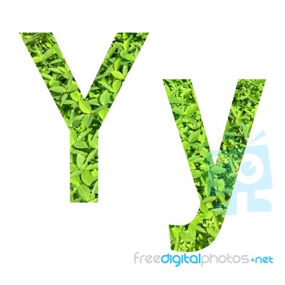 English Alphabet Made From Green Grass On White Background Stock Photo