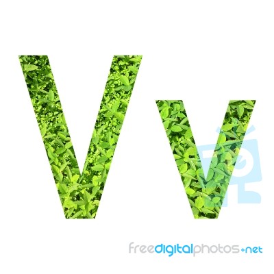 English Alphabet Made From Green Grass On White Background Stock Photo