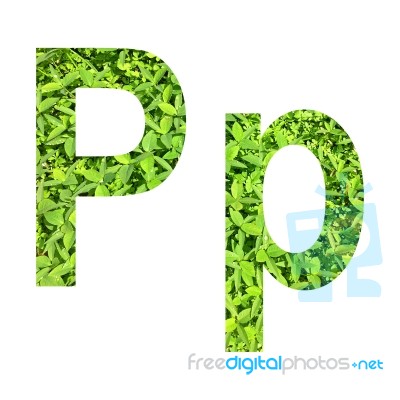 English Alphabet Made From Green Grass On White Background Stock Photo