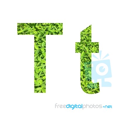 English Alphabet Made From Green Grass On White Background Stock Photo