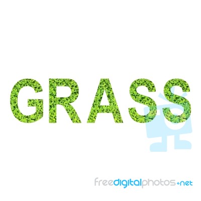 English Alphabet Of Grass Made From Green Grass On White Background For Isolated Stock Photo