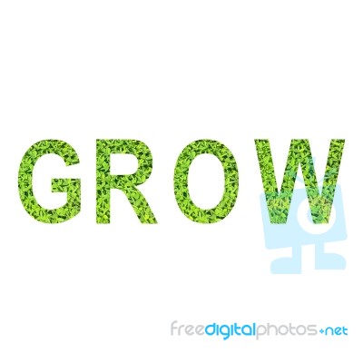 English Alphabet Of Grow Made From Green Grass On White Background For Isolated Stock Photo