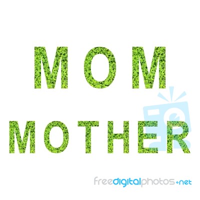 English Alphabet Of Mom And Mother. Made From Green Grass On White Background Stock Photo