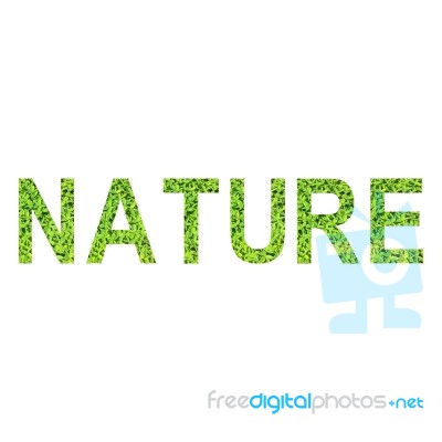 English Alphabet Of Nature Made From Green Grass On White Background For Isolated Stock Photo