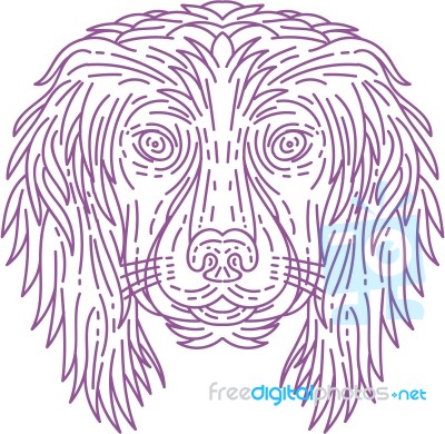 English Cocker Spaniel Dog Head Mono Line Stock Image