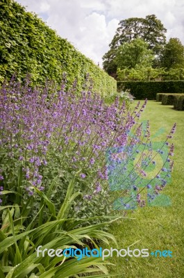 English Country Garden Stock Photo