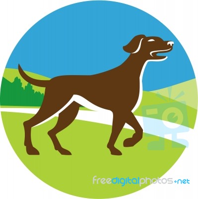 English Pointer Dog Pointing Up Circle Retro Stock Image