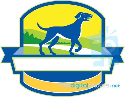 English Pointer Dog Pointing Up Crest Retro Stock Image