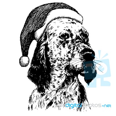 English Setter Dog With Christmas Santa Hat Stock Image