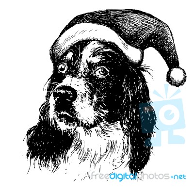 English Setter Dog With Christmas Santa Hat Stock Image