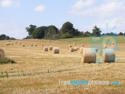 English Summer Stock Photo